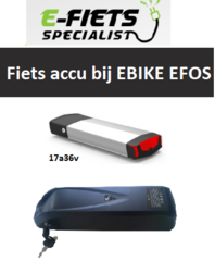 E-FIETS specialist accu