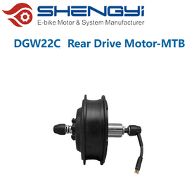 500w speedbike motor