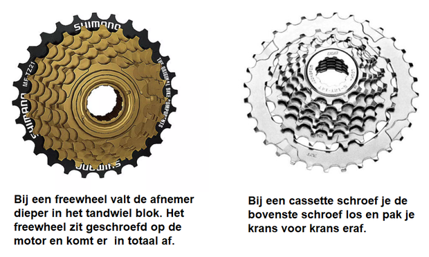 freewheel of cassette