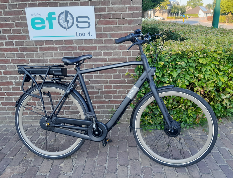 Gazelle espirt elektrisch