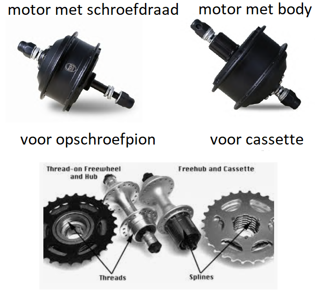 Het verschil tussen een opschroefpion of te wel een freewheel en een cassete